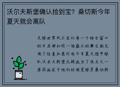 沃尔夫斯堡确认捡到宝？桑切斯今年夏天就会离队