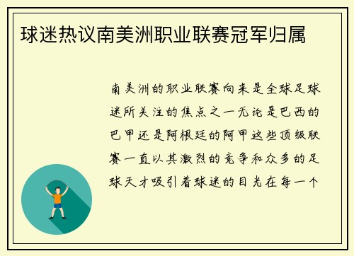 球迷热议南美洲职业联赛冠军归属
