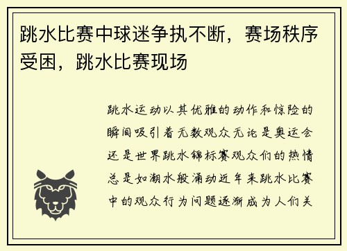 跳水比赛中球迷争执不断，赛场秩序受困，跳水比赛现场