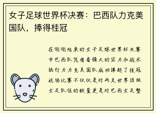 女子足球世界杯决赛：巴西队力克美国队，捧得桂冠