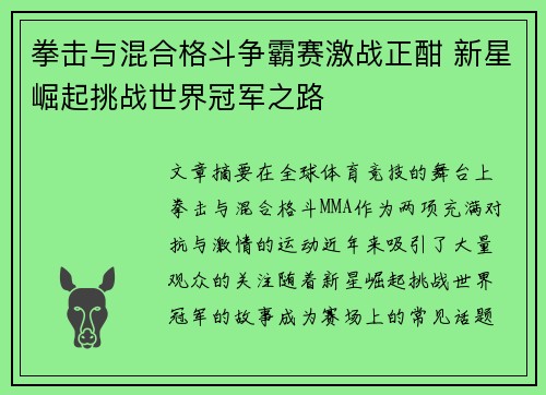 拳击与混合格斗争霸赛激战正酣 新星崛起挑战世界冠军之路