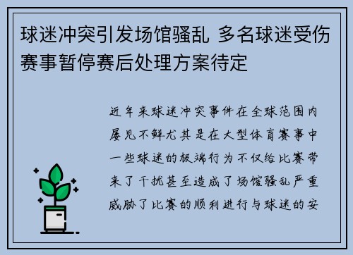 球迷冲突引发场馆骚乱 多名球迷受伤赛事暂停赛后处理方案待定